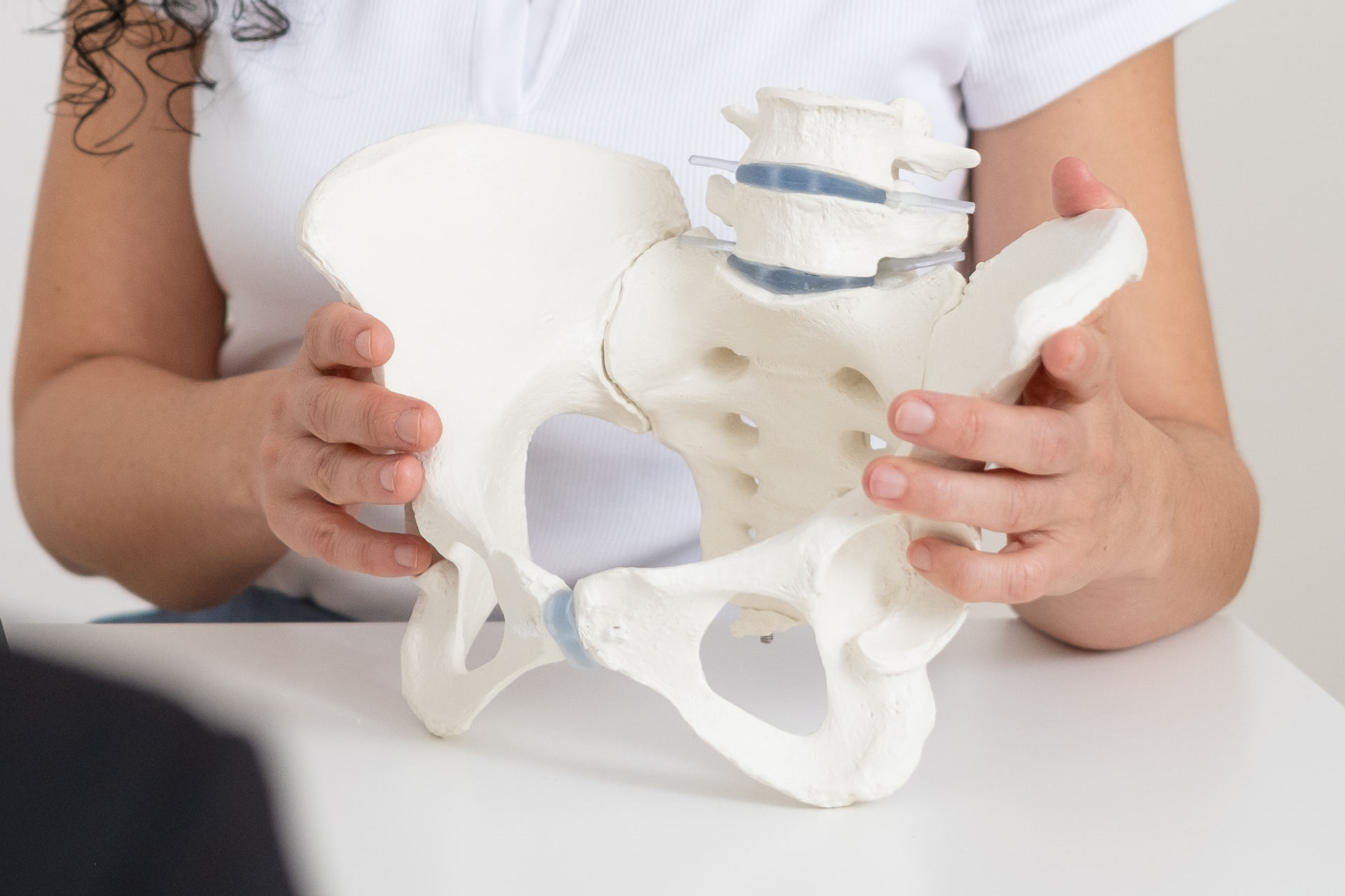 osteopathie-stuttgart-beckenbodenmodell